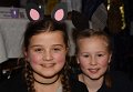 Alverdissen Karneval 2020  (119)